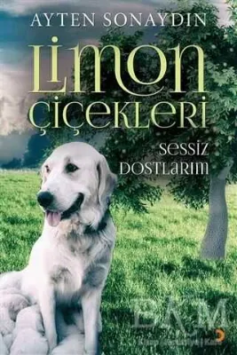 Limon Çiçekleri