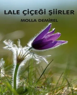 Lale Çiçeği Şiirler