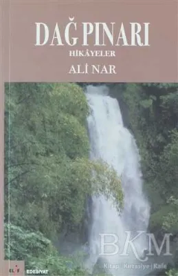 Dağ Pınarı
