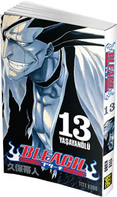Bleach 13. Cilt