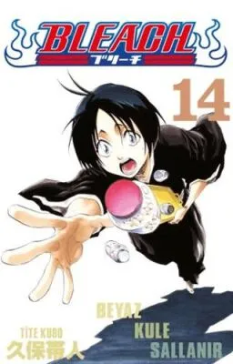 Bleach 14. Cilt