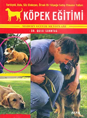 Köpek Eğitimi