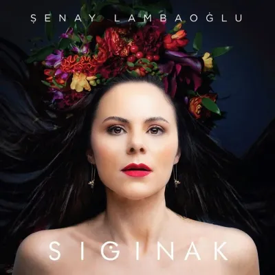 Sığınak Plak
