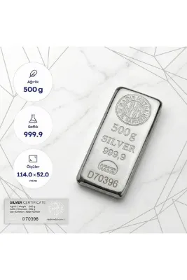 ANTICOGOLD 500 Gr Gümüş Külçe