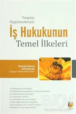 Yargıtay Uygulamalarıyla İş Hukukunun Temel İlkeleri