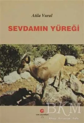 Sevdamın Yüreği
