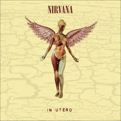Nirvana In Utero (Super Deluxe) Plak