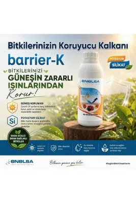 ENELSA Güneş Koruyucu Bitkiler için Barrier K Potasyum Silikat