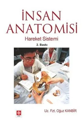 İnsan Anatomisi
