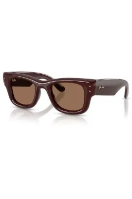 Ray-Ban RB4940 687773 50 Unisex Güneş Gözlüğü