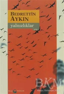 Yalnızlıklar