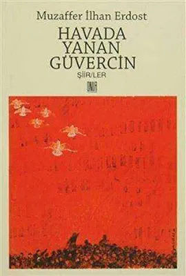 Havada Yanan Güvercin