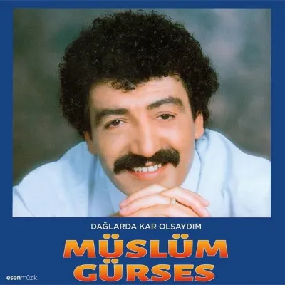 Dağlarda Kar Olsaydım