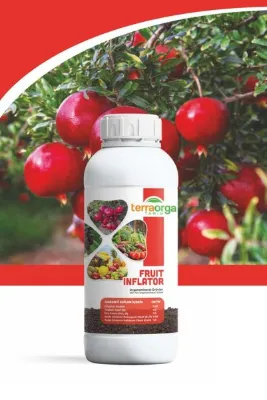 TerraOrga Fruıt Inflator 1 Lt Nk'lı Sıvı Organomineral Gübre
