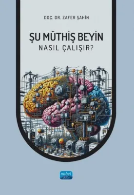 Şu Müthiş Beyin - Nasıl Çalışır?