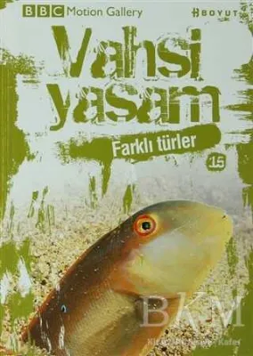 Vahşi Yaşam 2 - Farklı Türler
