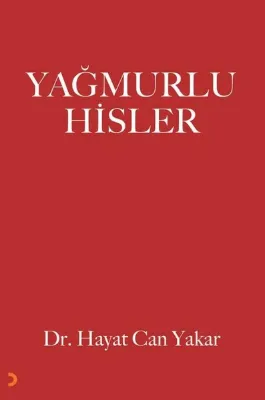 Yağmurlu Hisler
