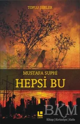Hepsi Bu