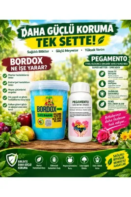 bordox Bakır %25 İçerikli Gübre Bordo 0.5KG/Pegamento 250MLİthal Organik Yayıcı Yapıştırıcı/Meyve Ağaçları Bağ Zeytin Ceviz Hasat Sonrası Bakım Seti