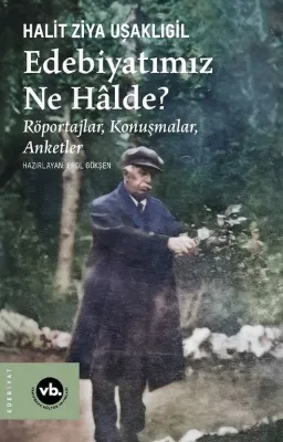 Edebiyatımız Ne Halde? Röportajlar Konuşmalar Anketler