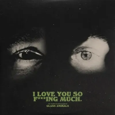 I Love You So FIng Much Plak