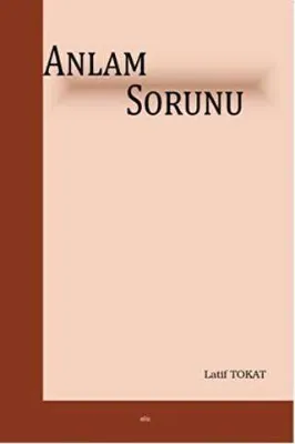 Anlam Sorunu