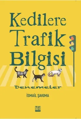 Kedilere Trafik Bilgisi - Denemeler
