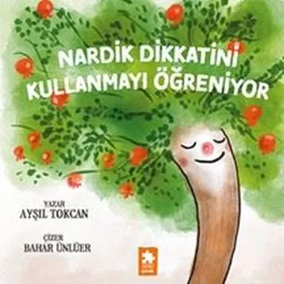 Nardik Dikkatini Kullanmayı Öğreniyor