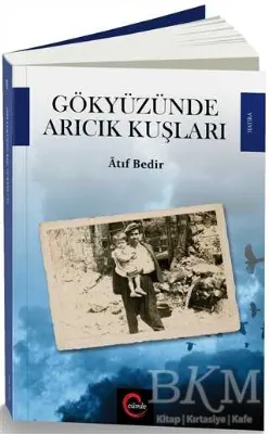 Gökyüzünde Arıcık Kuşları