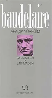 Apaçık Yüreğim Özel Günceler