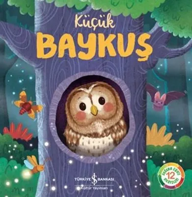 Küçük Baykuş
