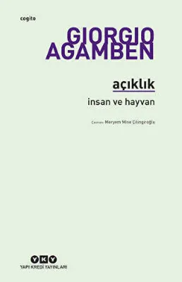 Açıklık
