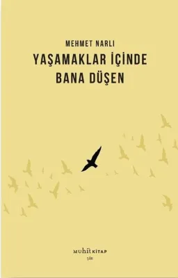 Yaşamaklar İçinde Bana Düşen