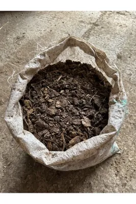 Doğal İşlenmemiş Gezen Tavuk Gübresi 5 kg – Ham Katkısız Çiftlik Gübresi Toprak Düzenleyici
