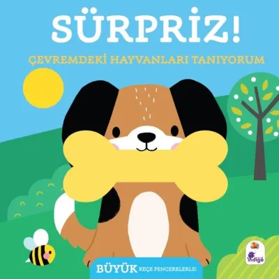 Sürpriz! Çevremdeki Hayvanları Tanıyorum