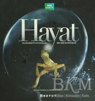 Hayat