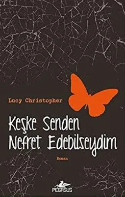 KEŞKE SENDEN NEFRET EDEBİLSEYDİM