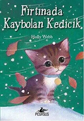FIRTINADA KAYBOLAN KEDİCİK