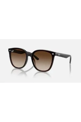 Ray-Ban RB4423D Güneş Gözlüğü 66mm