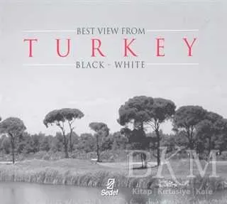 Best View From Turkey Black - White
