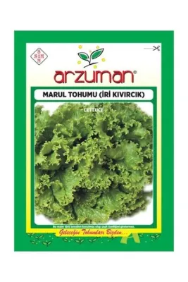 Arzuman Tohum Iri Kıvırcık Marul Tohumu