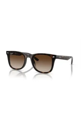 Ray-Ban RAYBAN RB4420 71013 65 UNISEX GÜNEŞ GÖZLÜĞÜ