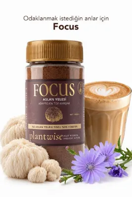 Plantwise Focus Aslan Yelesi & Hindiba Kahvesi – Kafeinsiz, Yüksek Lifli, Vegan, Lion’s Mane, 100 g Cam Kavanoz
