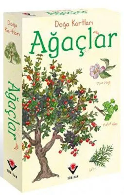 Doğa Kartları - Ağaçlar