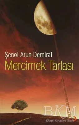 Mercimek Tarlası