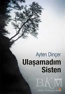 Ulaşamadım Sisten
