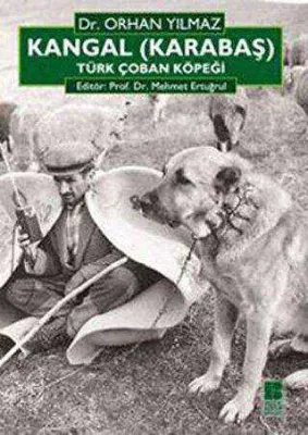 Kangal Karabaş Türk Çoban Köpeği