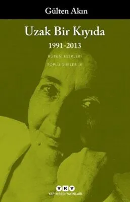 Uzak Bir Kıyıda 1991 - 2013