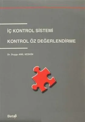 İç Kontrol Sistemi