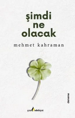 Şimdi Ne Olacak